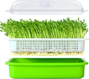 Pea Styrofoam Box