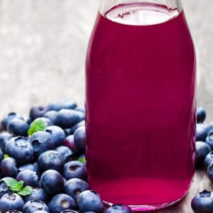 grow Blueberries 