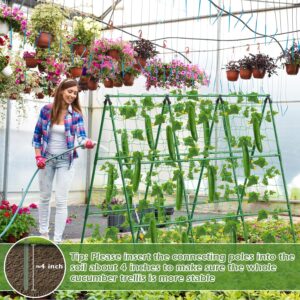 grow cucumbers to produce a lot of fruit