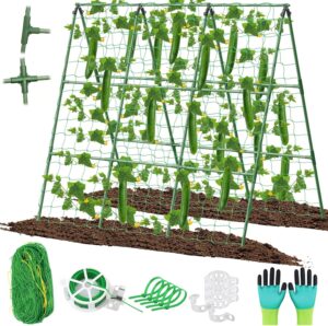 grow cucumbers to produce