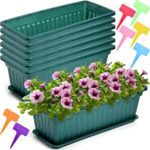 The Benefits of Growing Onions and Garlic in a Styrofoam Box